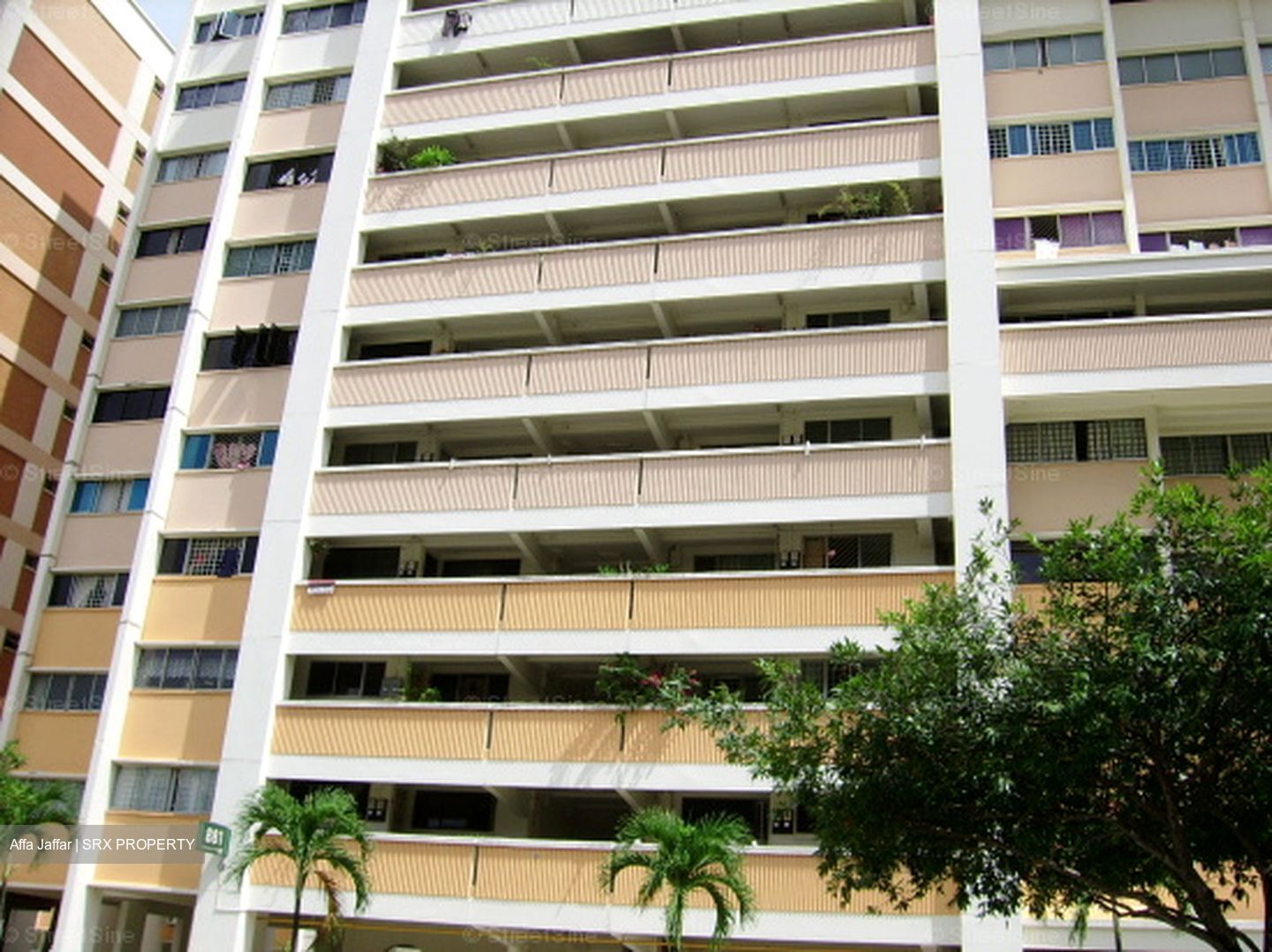 Blk 881 Tampines Spring (Tampines), HDB 3 Rooms #589202141